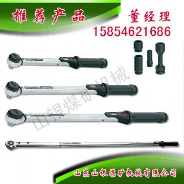 點(diǎn)擊查看詳細(xì)信息<br>標(biāo)題：顯示扭力扳手 閱讀次數(shù)：1542