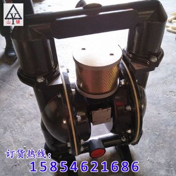 點(diǎn)擊查看詳細(xì)信息<br>標(biāo)題：氣動(dòng)隔膜泵 閱讀次數(shù)：1570