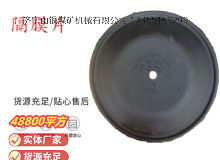 點擊查看詳細信息<br>標(biāo)題：氣動隔膜泵配件-隔膜片 閱讀次數(shù)：143
