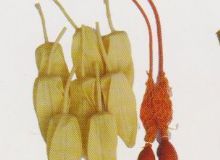 點(diǎn)擊查看詳細(xì)信息<br>標(biāo)題：取氣樣球膽 閱讀次數(shù)：41